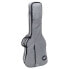 Ritter Carouge Double Bass EGR