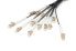 Фото #1 товара DIGITUS Pre-assembled Fiberglass Universal Breakout Cable, Multi Mode OM4, 12 Fibers, LC/UPC - LC/UPC