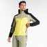 Фото #6 товара DARE2B Lattitudinal Soft Shell jacket