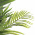 Фото #3 товара Растение декоративное Пальма MICA Decorations 80 x 160 см