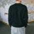 Толстовка Dickies Logo Regular Fit Black