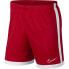 Фото #1 товара Nike Dry Academy M AJ9994-657 football shorts