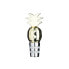 BARCRAFT BCWSTPAPPLE Bottle Stopper