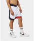 ფოტო #18 პროდუქტის Mens Team Paris Basketball Shorts