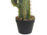 Kunstpflanze CACTUS