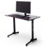 Gaming Desk Basic2