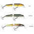 SALMO Fanatic Jointed Minnow 70 mm