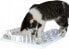 Trixie Zabawka dla kota: Cat Activity Fun Board, 30 × 40 cm, biała
