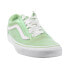 Vans Old Skool Men's Shoes Pastel Green-Pastel Suede VN0A38G1-VRJ