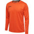 ფოტო #1 პროდუქტის HUMMEL Authentic Poly long sleeve T-shirt