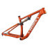 SPECIALIZED BIKES S-Works Epic EVO MTB Frame