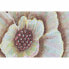 Фото #2 товара Полотно DKD Home Decor Разноцветный Цветы 80 x 4 x 120 cm (1 штук)