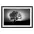 Фото #1 товара Bild Lonely Tree