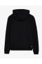 Фото #13 товара M Essential Hoodie Sweatshirt Erkek Siyah Sweatshirt S232438-001