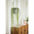 Фото #2 товара Горшок для цветов elho Hanging Planter Green Plastic 18 cm