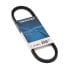 ფოტო #1 პროდუქტის DAYCO Honda Zoomer 50 transmission belt