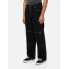 Фото #6 товара DICKIES Double Knee jeans