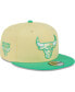 Фото #1 товара Men's Yellow, Green Chicago Bulls 9FIFTY Hat