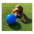 Фото #2 товара Игрушка для собак Company of Animals Boomer Синий 250 мм.