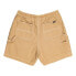 Element Carpenter Twill shorts