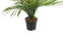 Фото #3 товара Kunstpflanze ARECA PALM