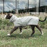 Фото #4 товара KENTUCKY Dog Rain Coat