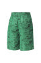 Normal Yeşil Erkek Şort 53951936-CLASSICS SUPER PUMA Shorts