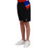 Фото #1 товара LE COQ SPORTIF Tri Regular N°1 Sweat Shorts