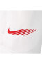 Фото #9 товара Брюки спортивные Nike ASLAN SPORT Standard Issue Fleece Cargo Erkek Eşofman Altı