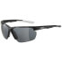 ფოტო #1 პროდუქტის ALPINA Defey HR polarized sunglasses