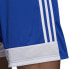 Фото #4 товара Adidas Tastigo 19 Shorts M DP3682 shorts