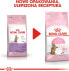Фото #7 товара сухой корм для кошек Royal Canin, для стерилизованных котят, 2 кг