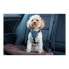 Фото #7 товара Упряжь для собак Company of Animals CarSafe Чёрный L