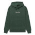 ELEMENT Fluffy Icon hoodie