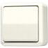 Фото #2 товара JUNG 606 A - Pushbutton switch - 1P - Wired - Ivory - Duroplast - 250 V