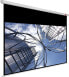 Фото #1 товара Экран проекционный AVTEK Business Pro 240