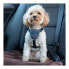 Фото #11 товара Упряжь для собак Company of Animals CarSafe Чёрный XS