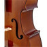 Stentor SR1102 Cello Student I 4/4