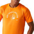 ფოტო #6 პროდუქტის REGATTA Fingal Slogan III short sleeve T-shirt