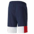 Фото #11 товара Спортивные мужские шорты Puma Essentials+ Block Темно-синий