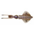 SAVAGE GEAR 3D Swim Squid Soft Lure 250 mm 86g