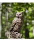 Large Horned Owl Garden Statue