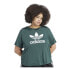 Фото #6 товара ADIDAS ORIGINALS Adicolor Trefoil Boxy Plus short sleeve T-shirt