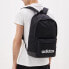 Рюкзак Adidas neo CLSC XL, FL3716,