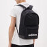 Backpack Adidas Neo CLSC XL, FL3716