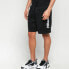Nike Air Fleece Shorts CJ4833-010