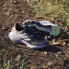 Фото #13 товара Кроссовки для бега Adidas Terrex Soulstride Rain RDY.