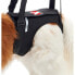 KRUUSE Hind Leg Elevator XL Harness - фото #1