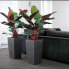 Plant pot Lechuza 40 x 40 x 76 cm Black polypropylene Plastic Rectangular