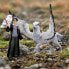 Фото #1 товара Schleich Harry & Hedwig 42633